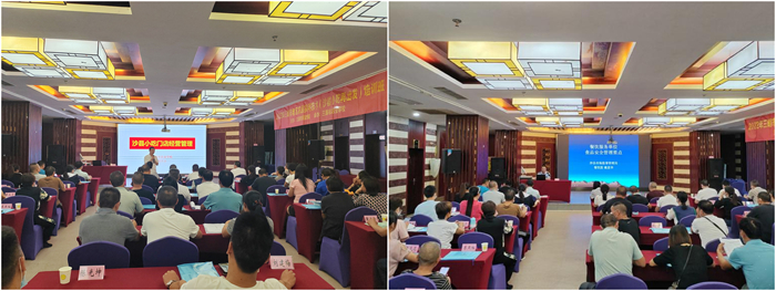 1663577372976476.jpg 3.jpg